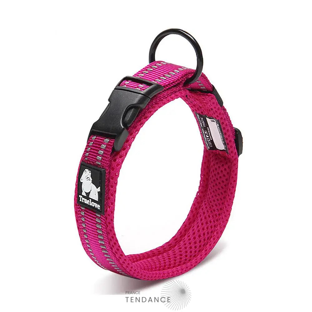 Collier Lumineux Réfléchissant Pour Chien | France-Tendance