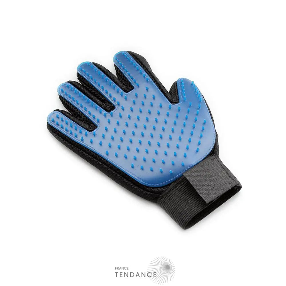 Gant De Massage Et Toilettage Pour Chat Chien |