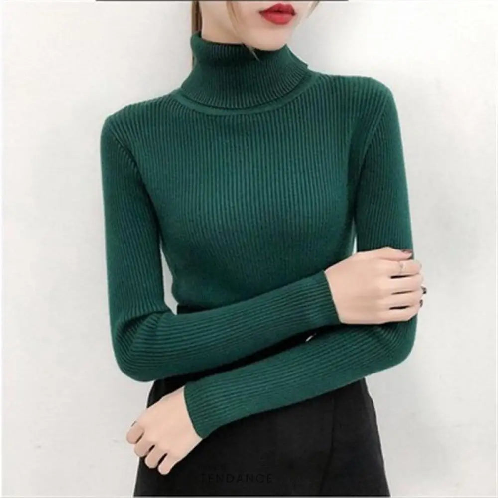 Pull Tricoté à Col Roulé | France-Tendance