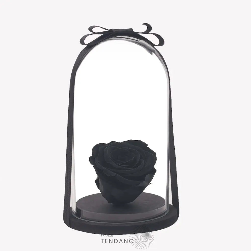 Rose éternelle Noire Sous Cloche | France-Tendance