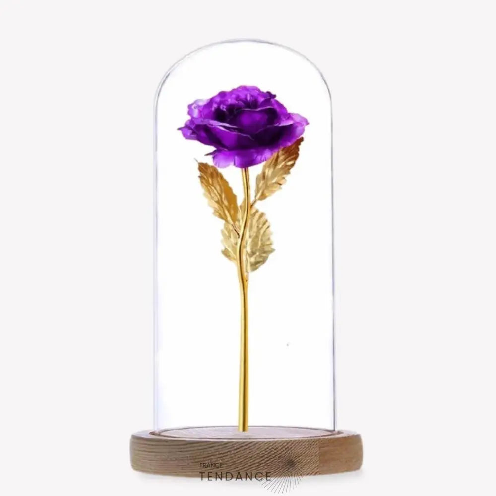Rose éternelle Or Violette Sous Cloche | France-Tendance