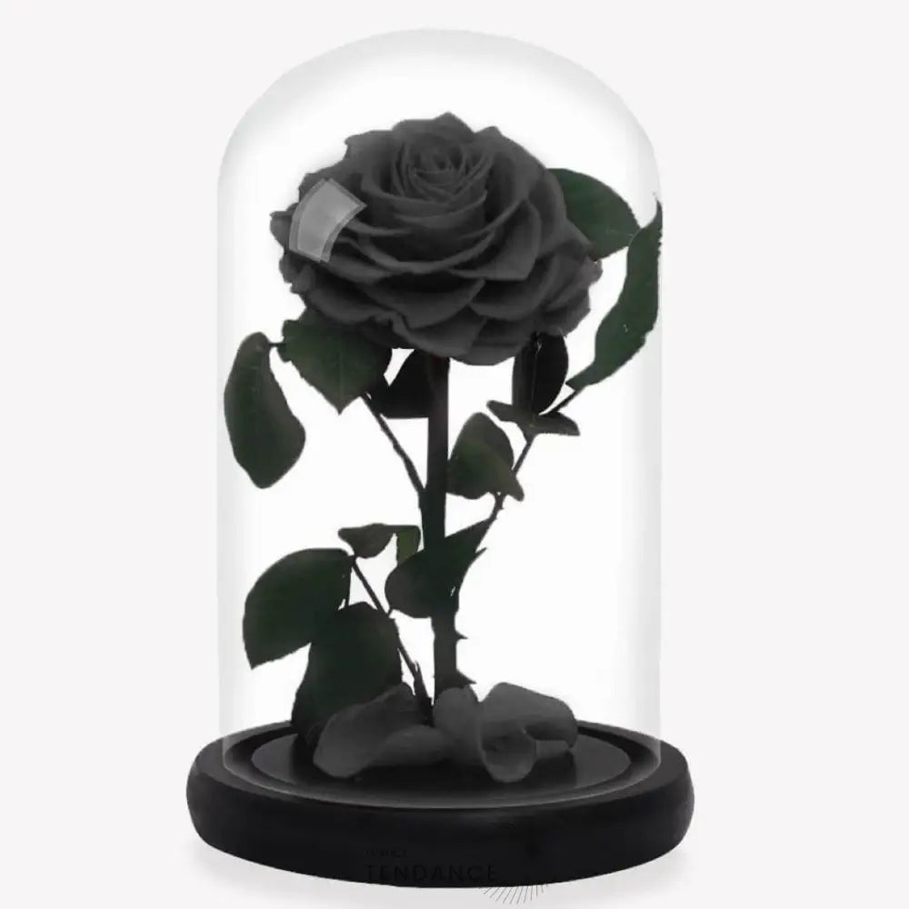 Rose Stabilisée Noire | France-Tendance
