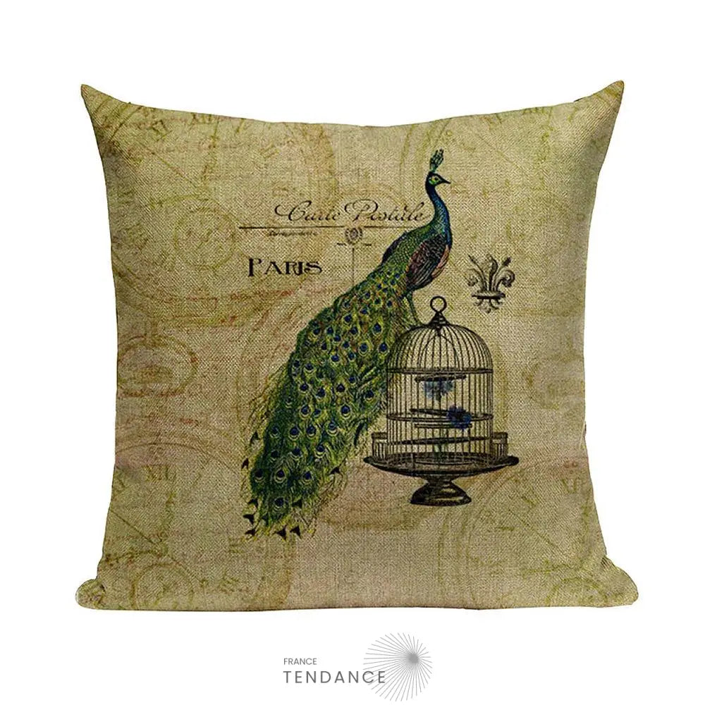 Taie De Coussin Décorative 45x45 - Série Paris |