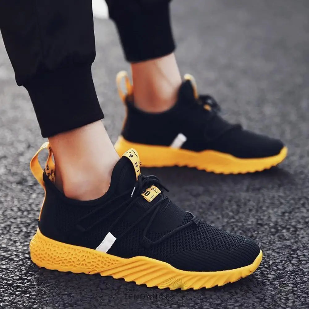 Baskets Balvin | France-Tendance