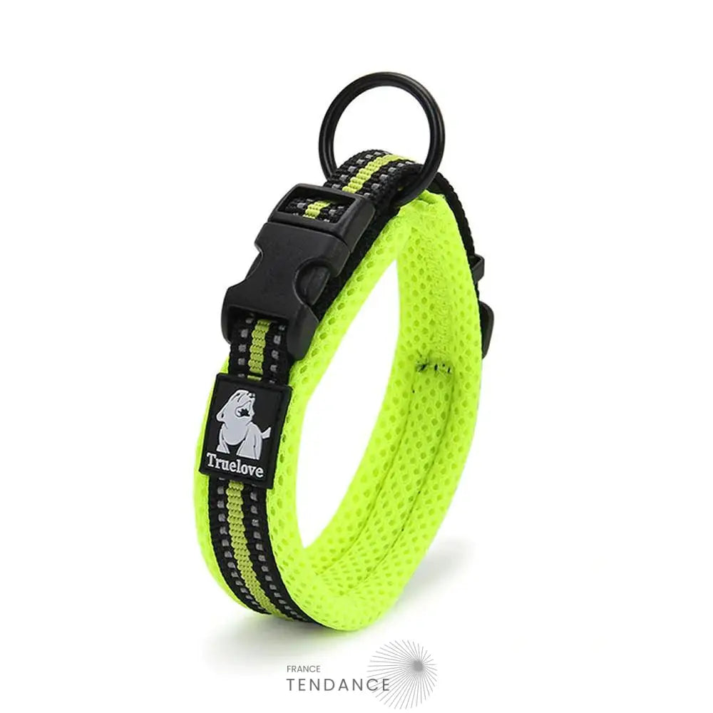 Collier Lumineux Réfléchissant Pour Chien | France-Tendance