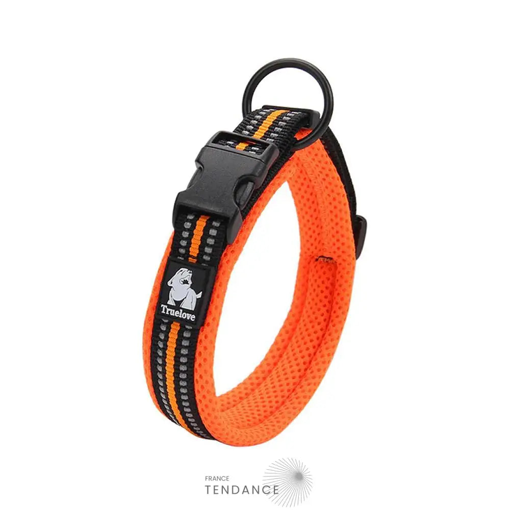 Collier Lumineux Réfléchissant Pour Chien | France-Tendance