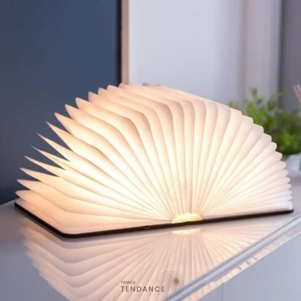 Lampe Livre Lumineux Gonku™ | France-Tendance