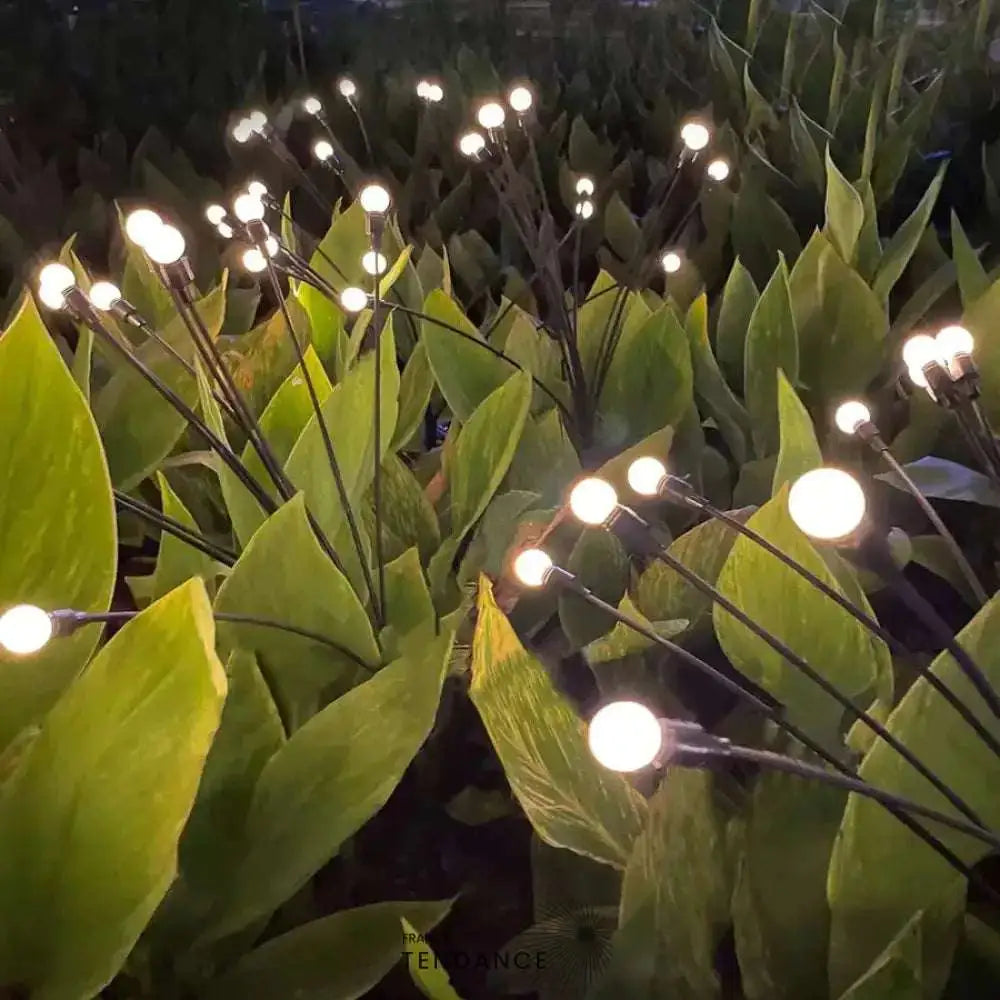 Lampes Led Lucioles À Énergie Solaire