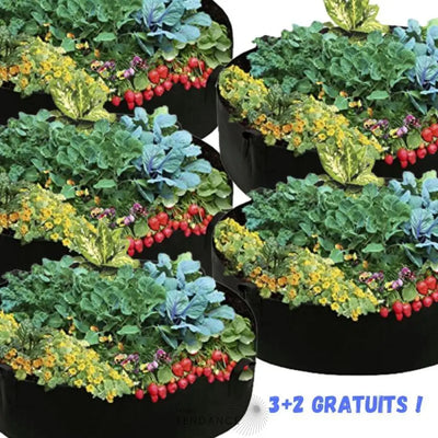 Magicgarden™ | Potager Instantané | France-Tendance