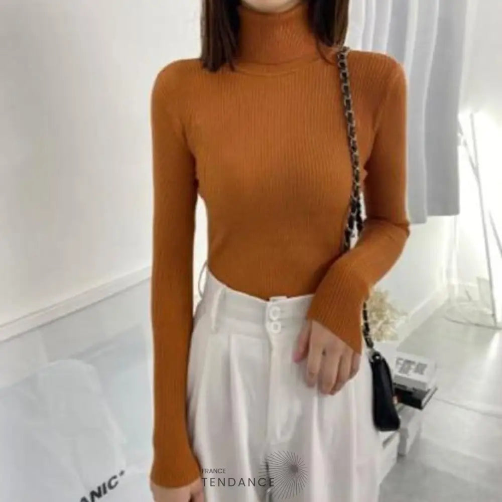 Pull Tricoté à Col Roulé | France-Tendance