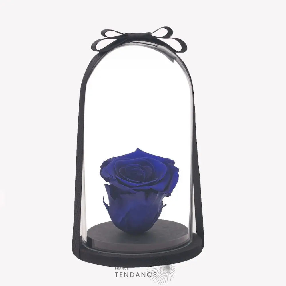Rose éternelle Bleu Foncé Sous Cloche | France-Tendance