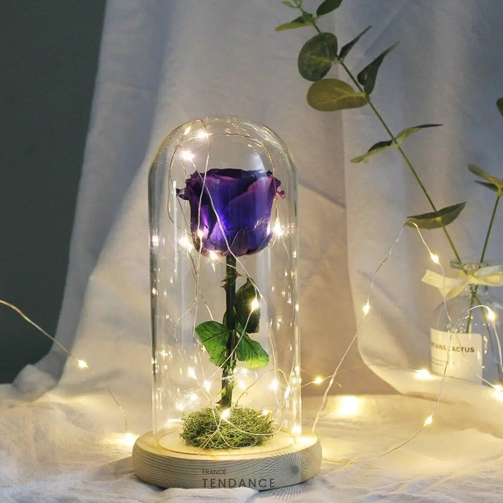 Rose éternelle Sous Cloche Lumineuse Violette |