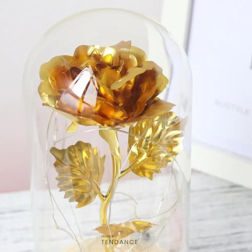 Rose Eternelle Enchantée: La Belle Et Bête | France-Tendance