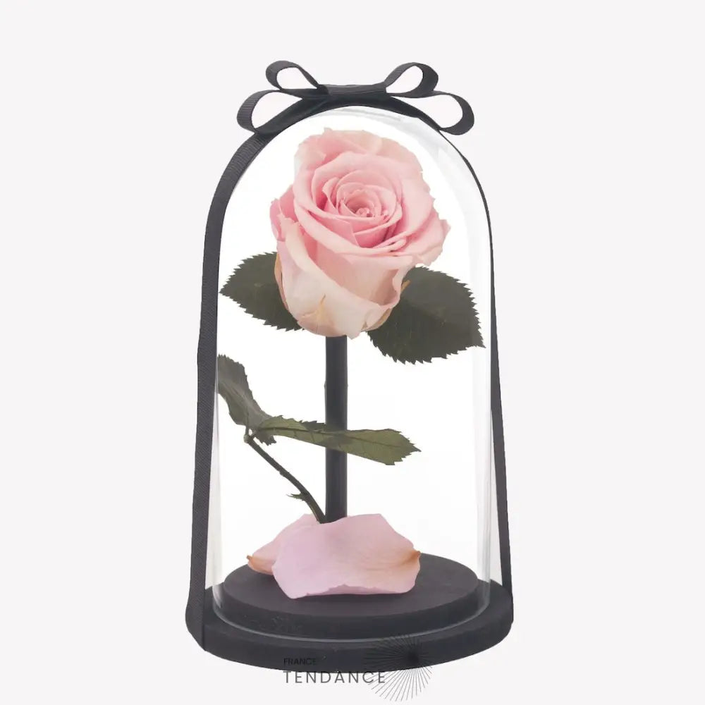 Rose éternelle | France-Tendance