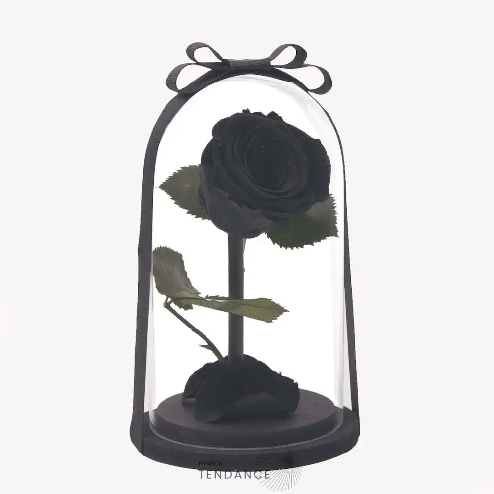 Rose éternelle Noire | France-Tendance