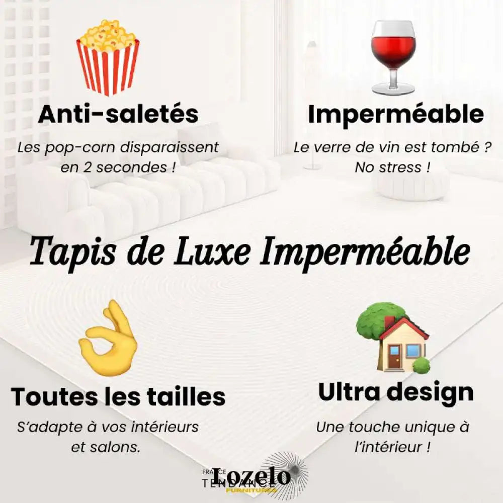 Tapis Magique Intachable | Incroyable Mais Vrai! Salon